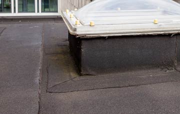 disadvantages of Golsoncott flat roofs