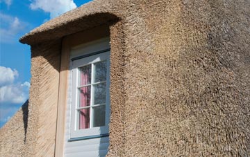Golsoncott thatch roof disadvantages